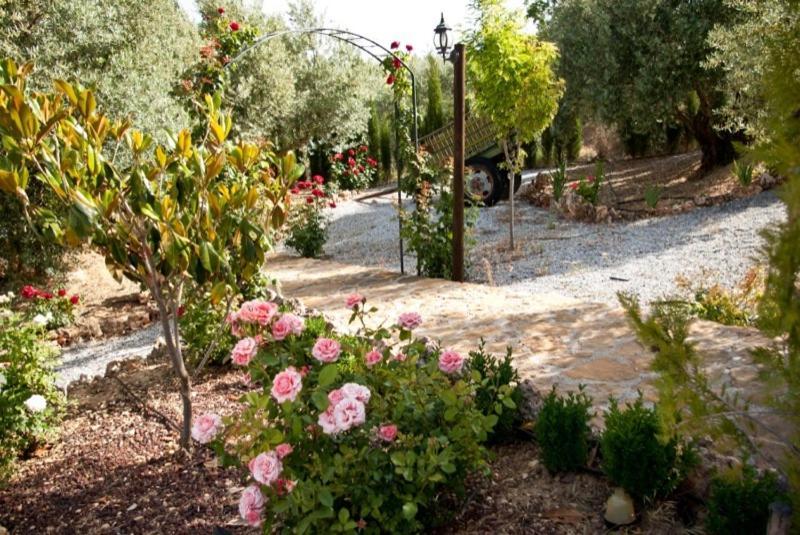 Casas Rurales Cazorla-Alcon Pozo Alcón Стая снимка