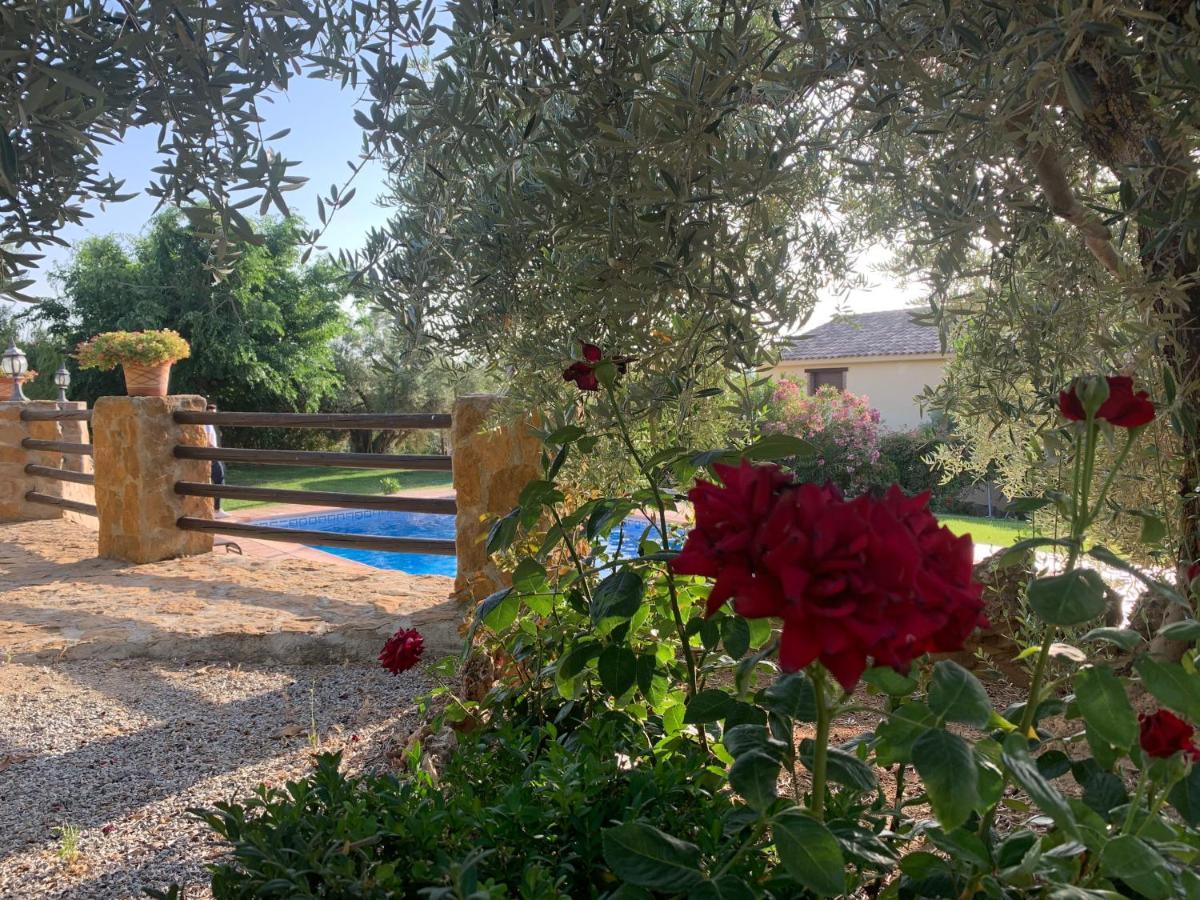 Casas Rurales Cazorla-Alcon Pozo Alcón Екстериор снимка