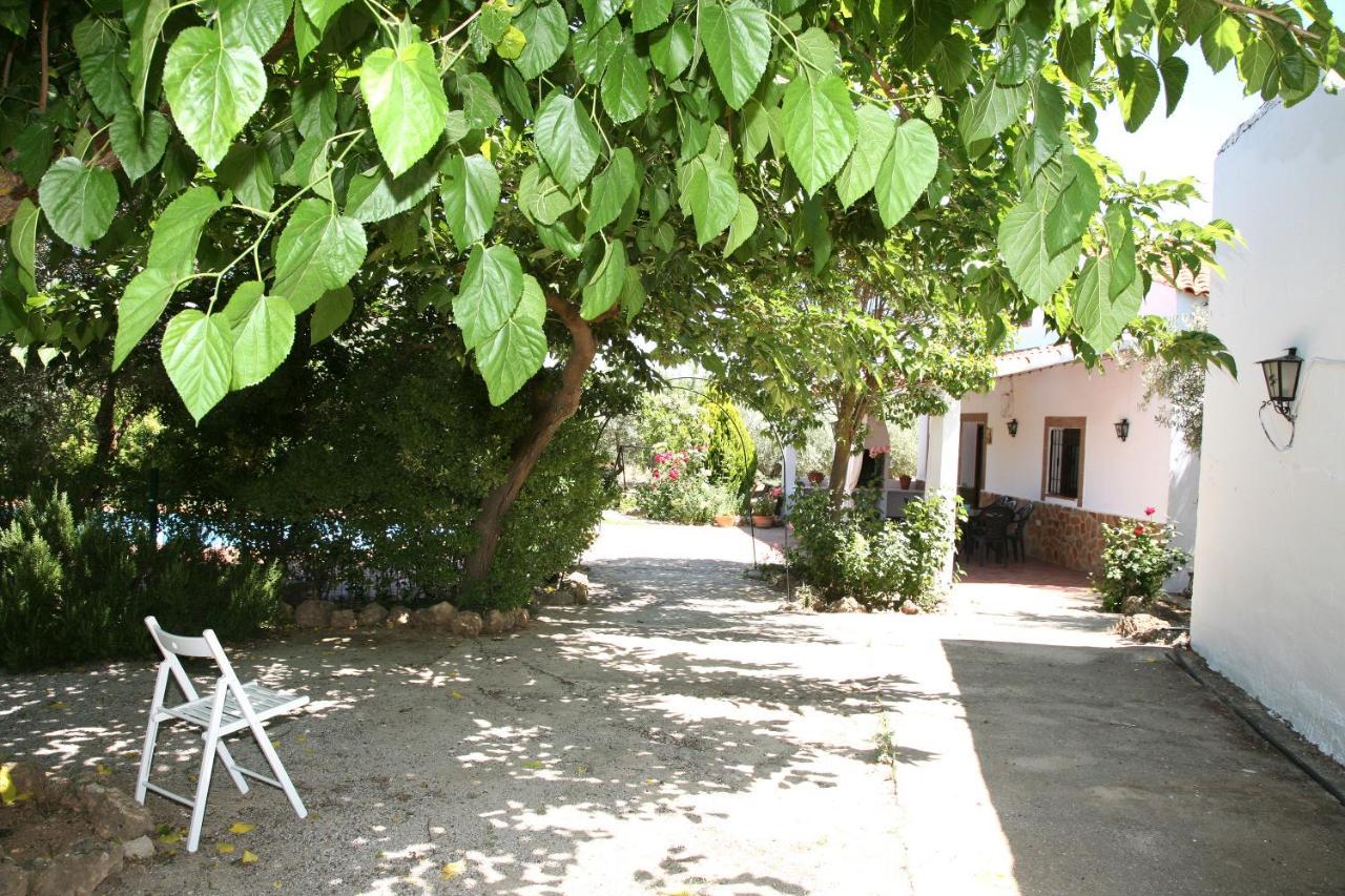 Casas Rurales Cazorla-Alcon Pozo Alcón Екстериор снимка